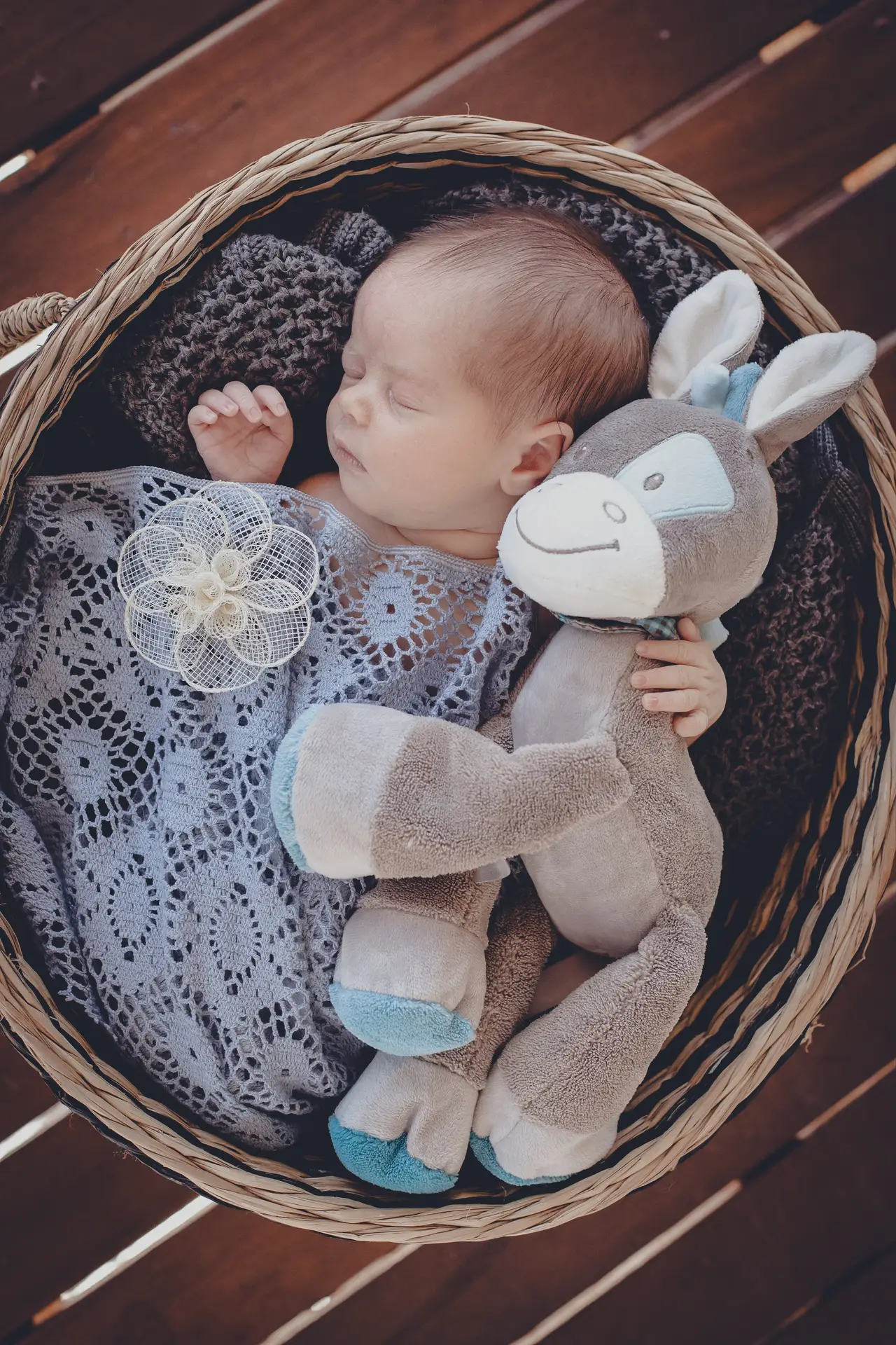 Baby with toy in a basket